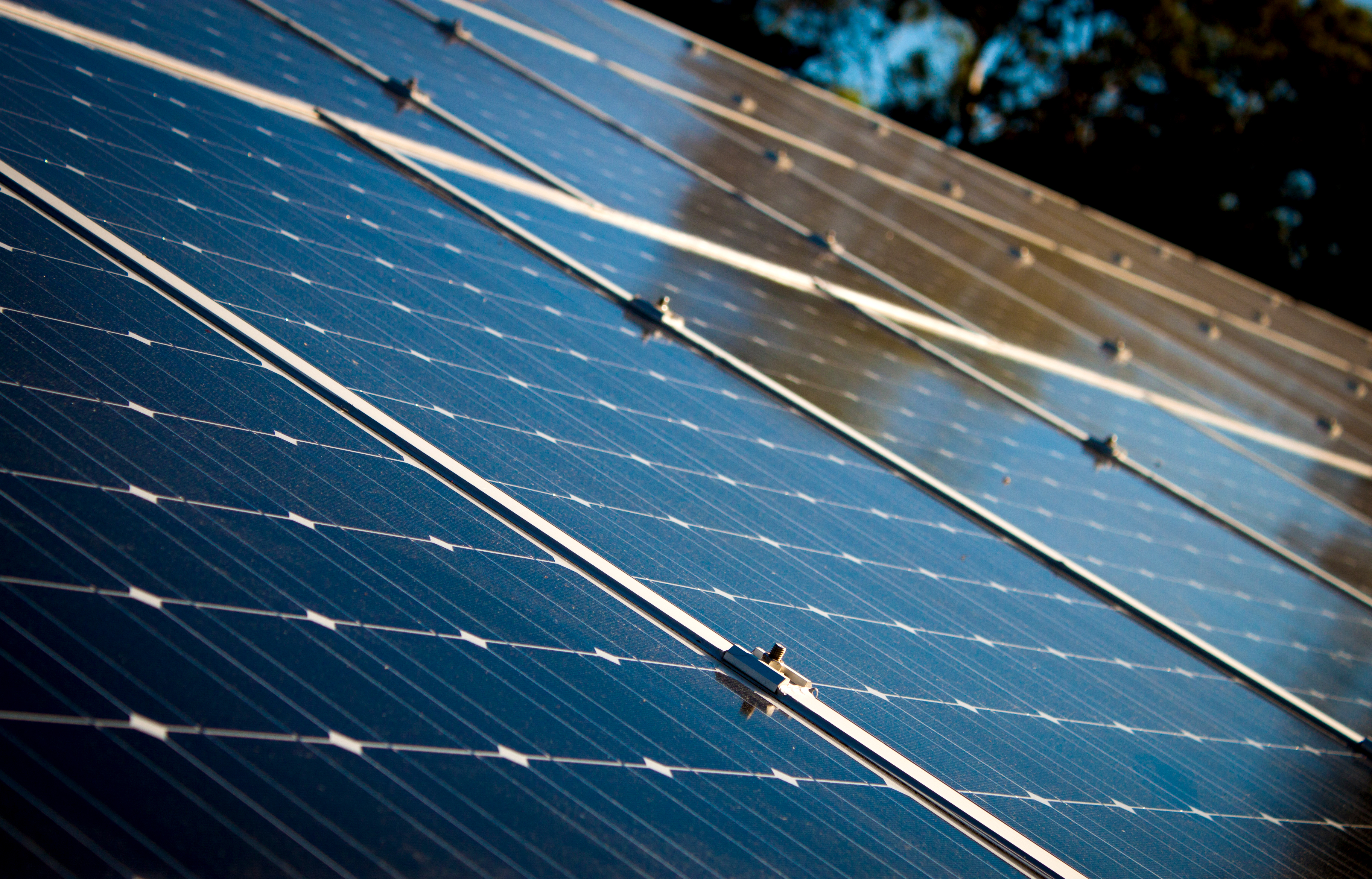 Go green with Adept