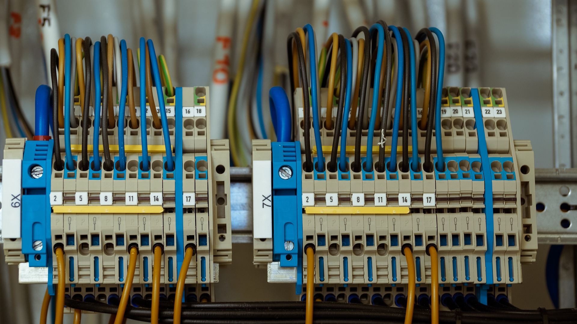 Trustlec Electrical Services Launch New Website